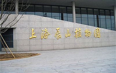 松江激光打标机